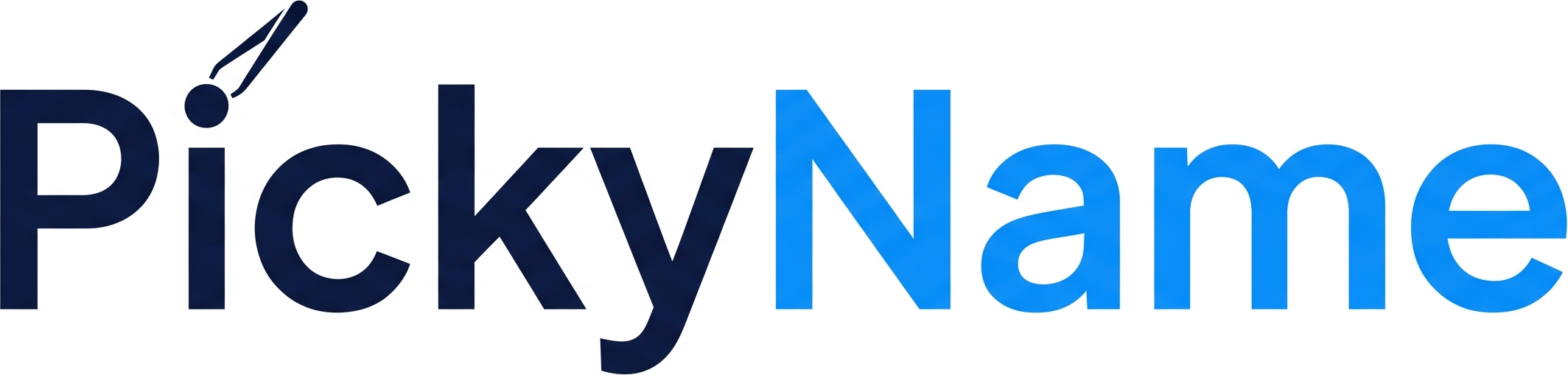 PickyName Logo